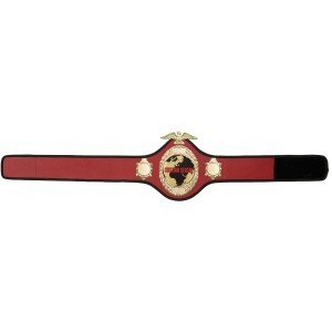 GOLD PRO288 CUSTOM CHAMPIONSHIP BELT  ***BEST SELLER***